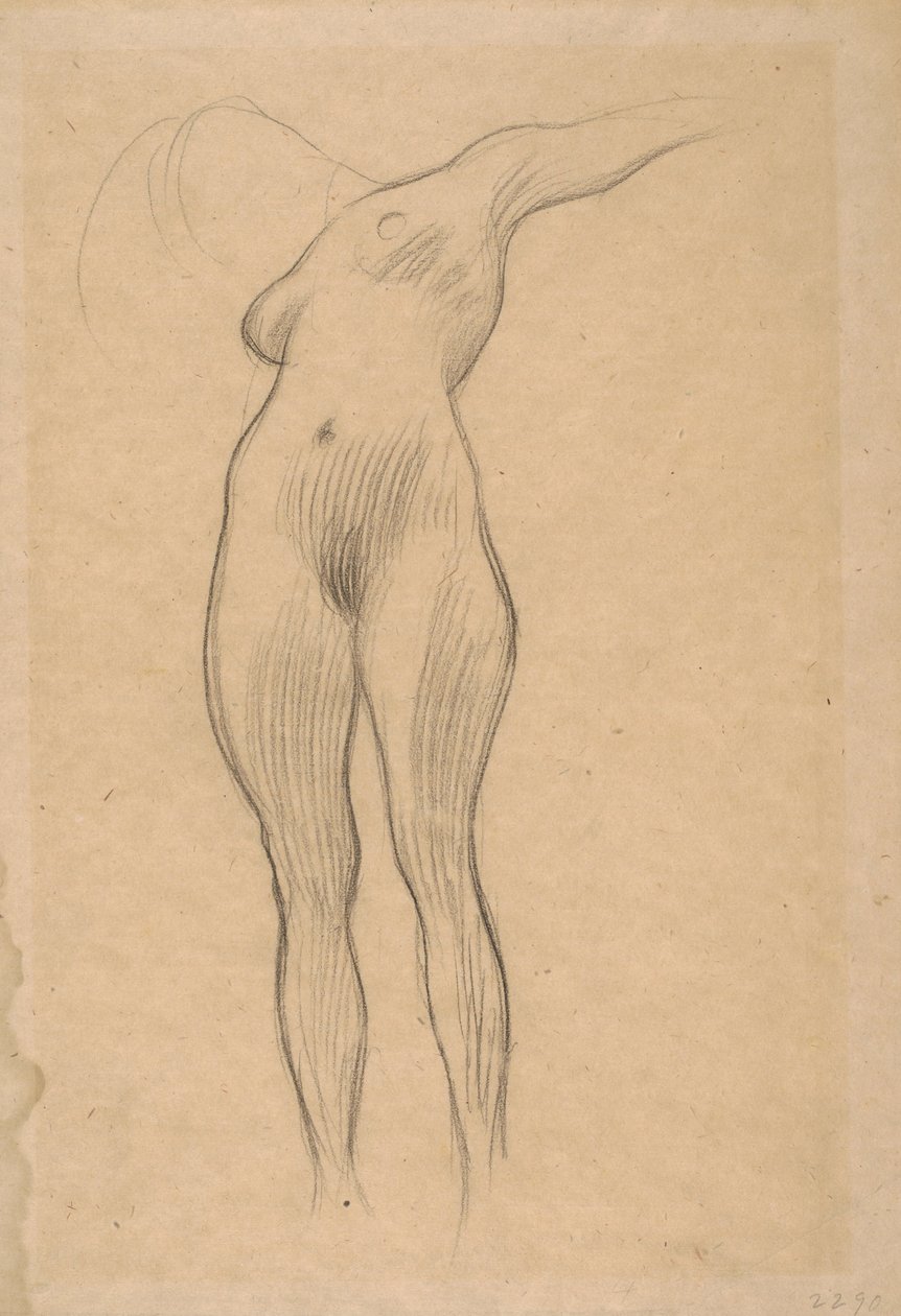 Kolunu Uzanmış Yüzen Kadın (Tıp Araştırması), 1900-1901 by Gustav Klimt