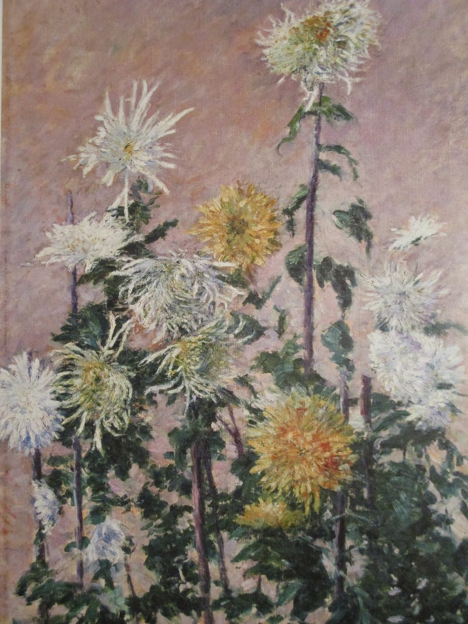 beyaz ve sarı krizantem by Gustave Caillebotte