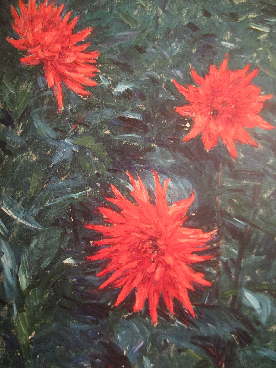 Kırmızı kaktüs yıldız çiçeği (1892) by Gustave Caillebotte