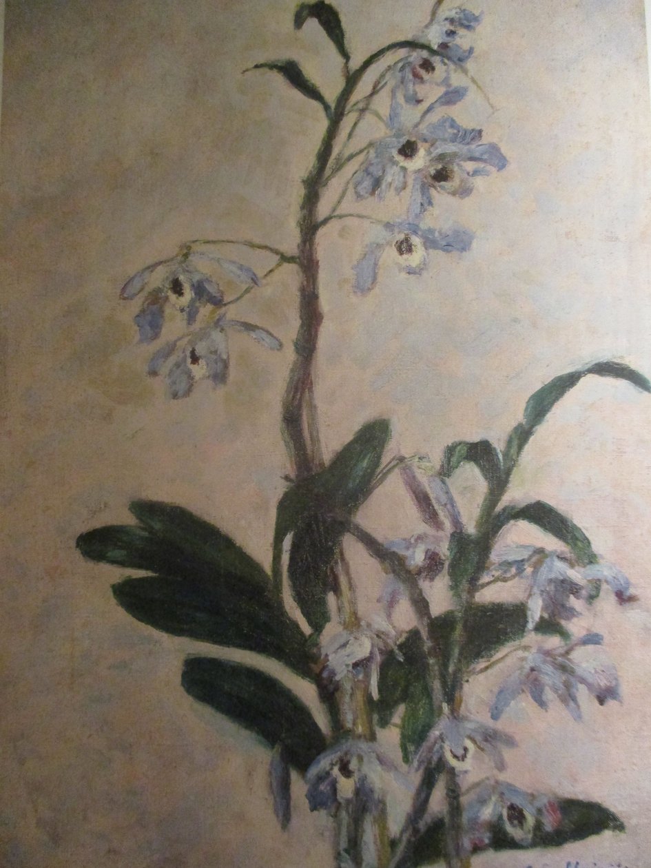Orkide by Gustave Caillebotte