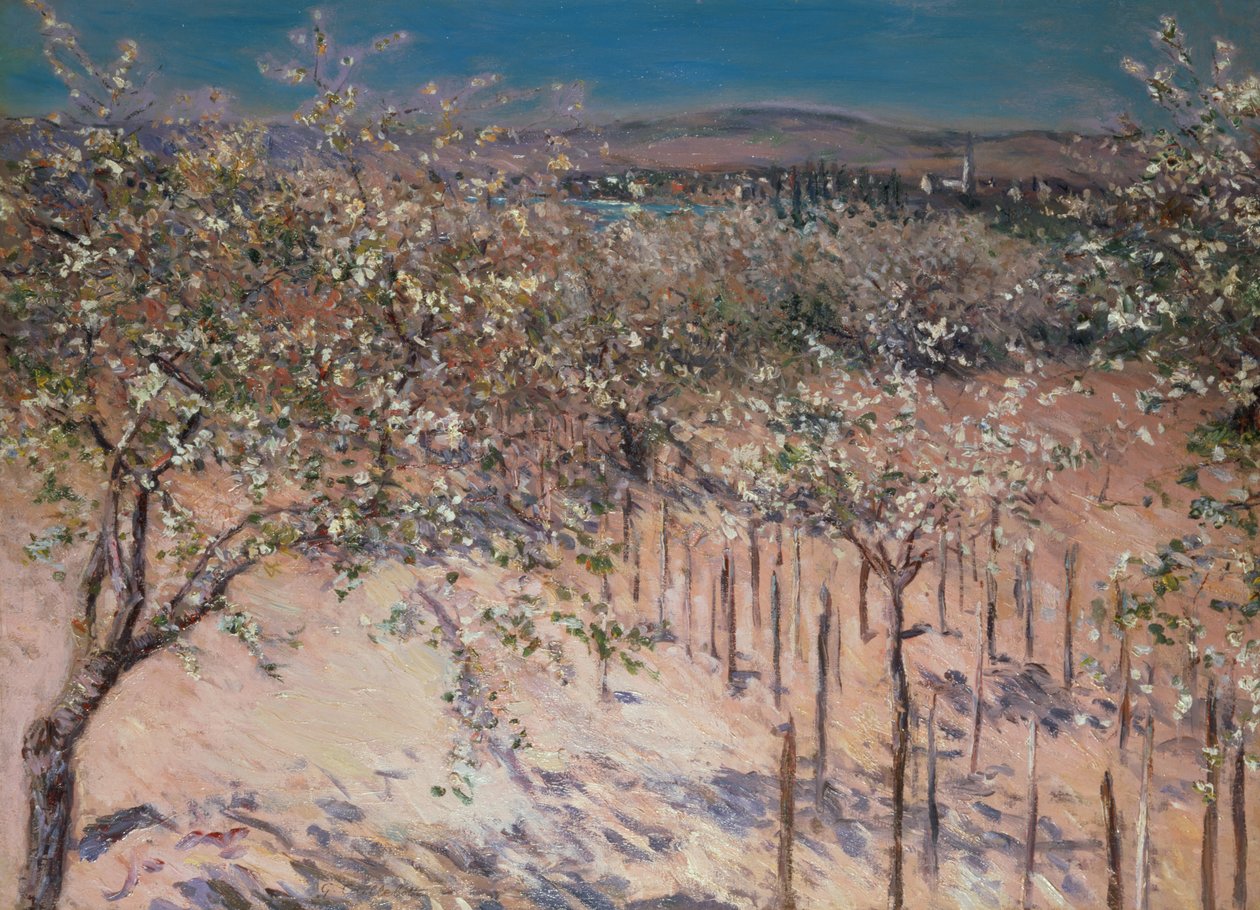 Çiçekli Elma Ağaçları ile Meyve Bahçesi, Colombes by Gustave Caillebotte