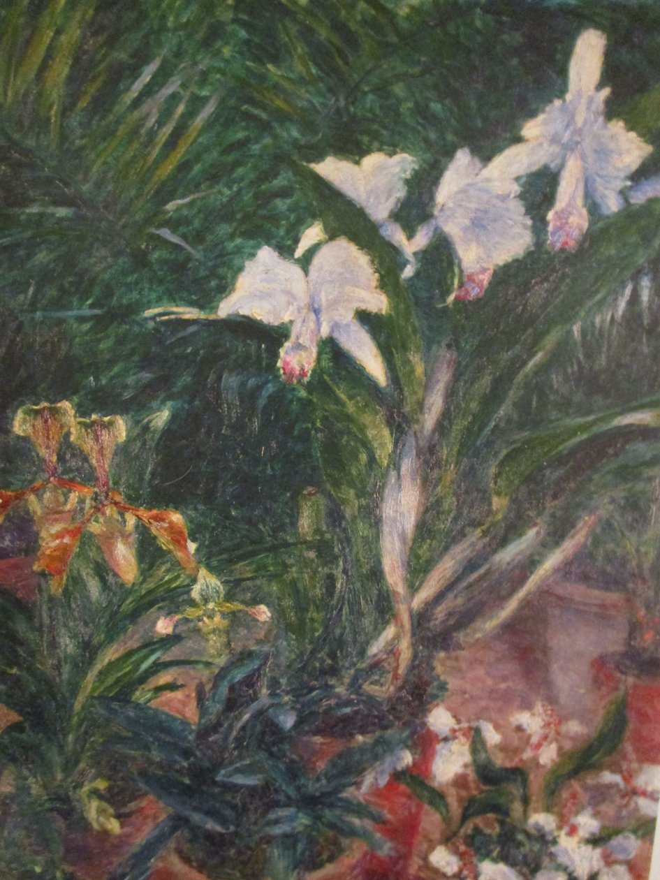 Petit Gennevilliers serasındaki orkideler by Gustave Caillebotte