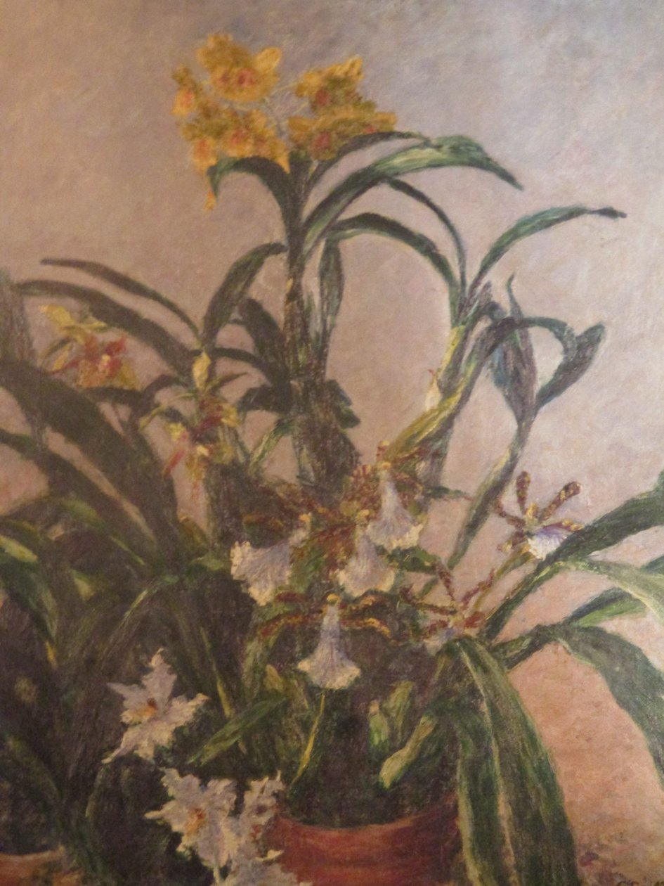 Sarı orkide by Gustave Caillebotte