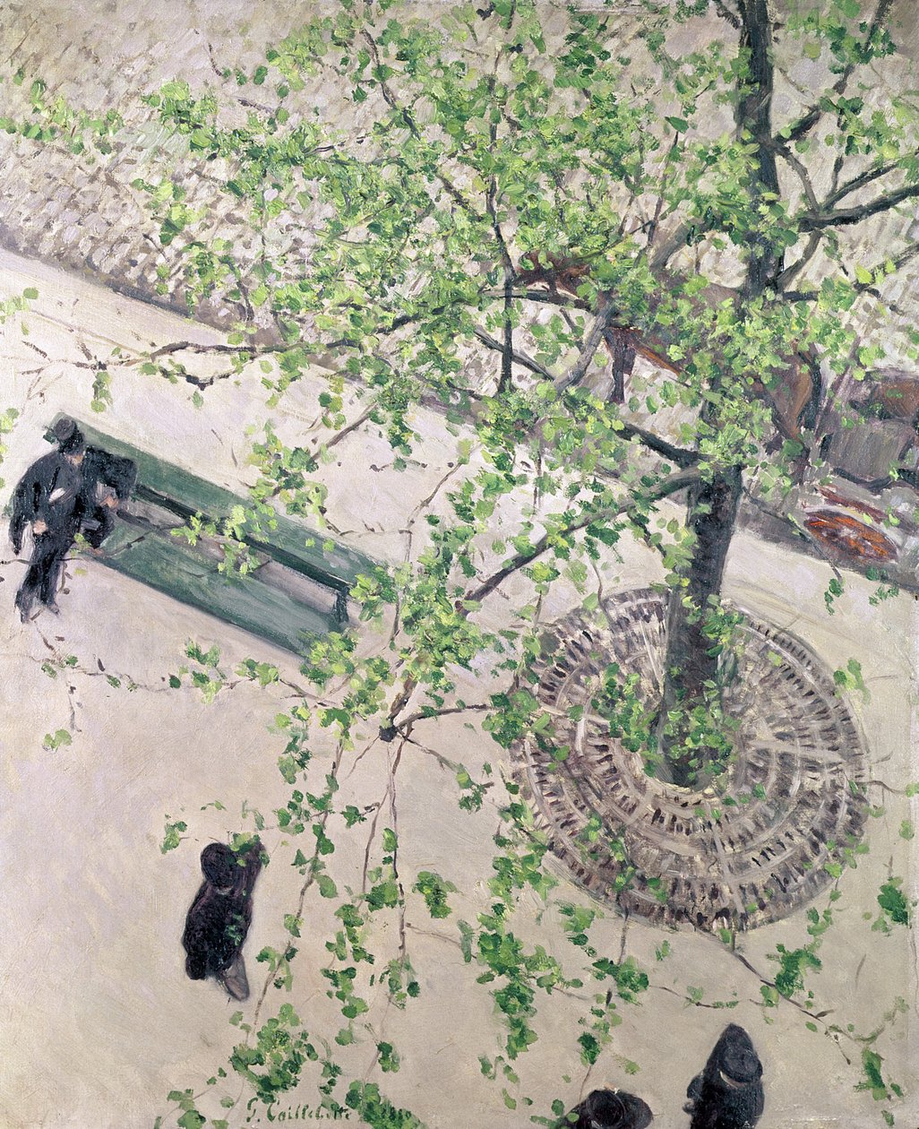 Bulvarın Yukarıdan Görünüşü, 1880 by Gustave Caillebotte