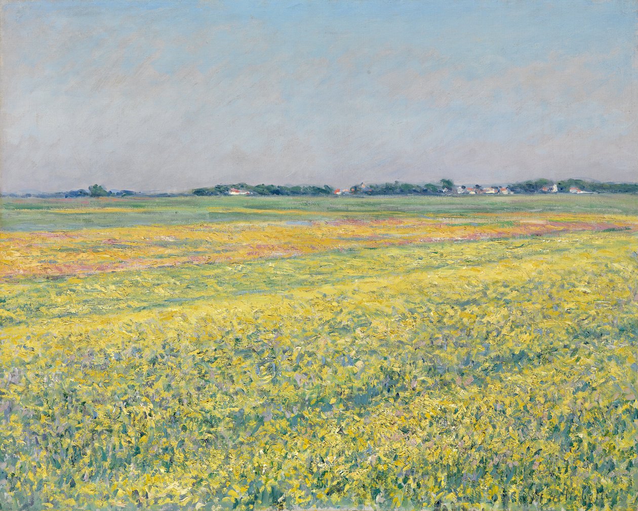 Gennevilliers ovası, sarı alanlar by Gustave Caillebotte