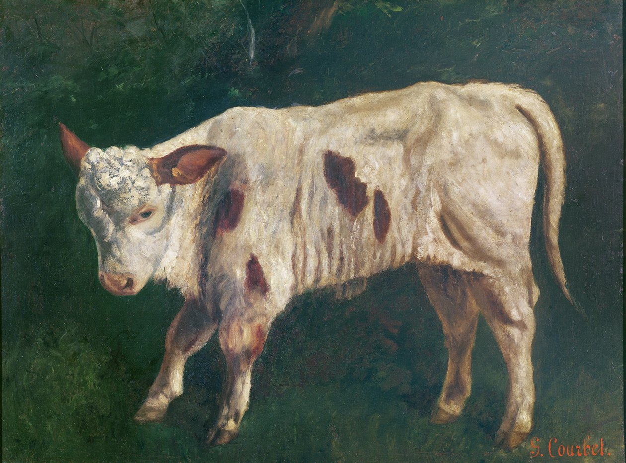 Bir buzağı by Gustave Courbet