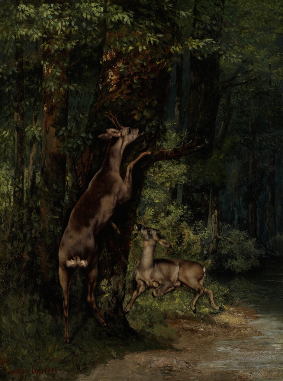Ormandaki Geyik by Gustave Courbet