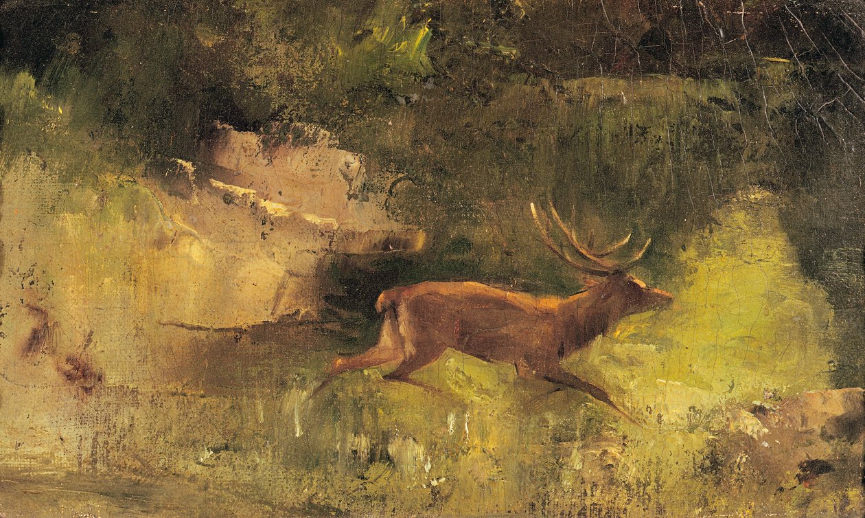 Ormanda Koşan Geyik, 1865 dolayları by Gustave Courbet