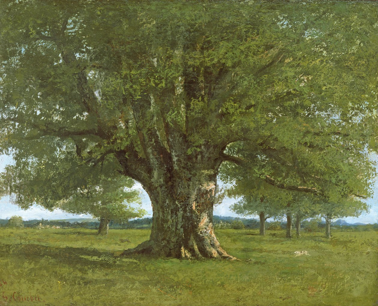 Flagey Meşe Ağacı, 1864 by Gustave Courbet