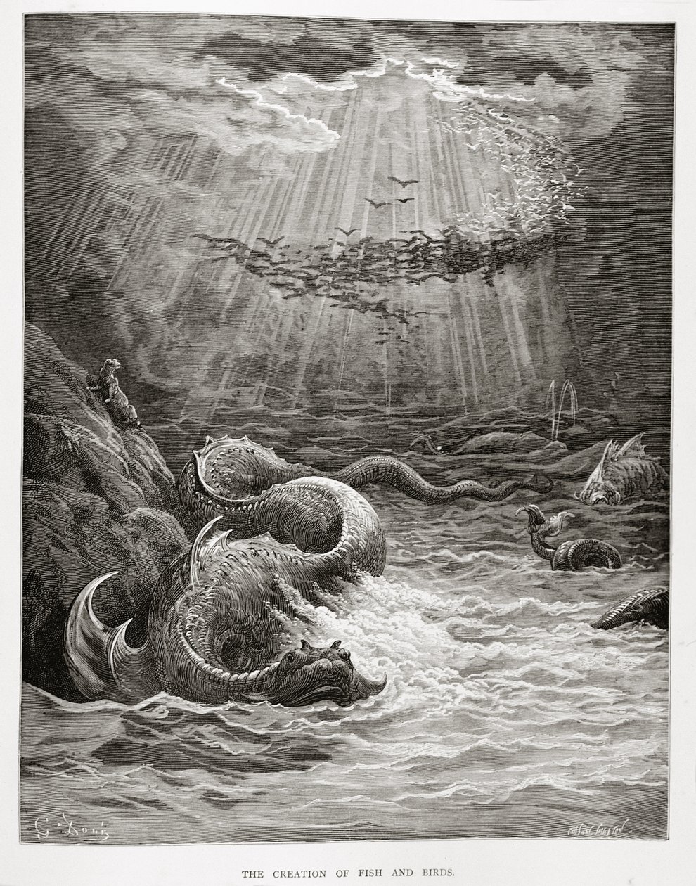 Collon Smeeton tarafından kazınmış John Milton (1608-74) tarafından Kayıp Cennetten Balık ve Kuşların Yaratılışı, c.1868 by Gustave Dore