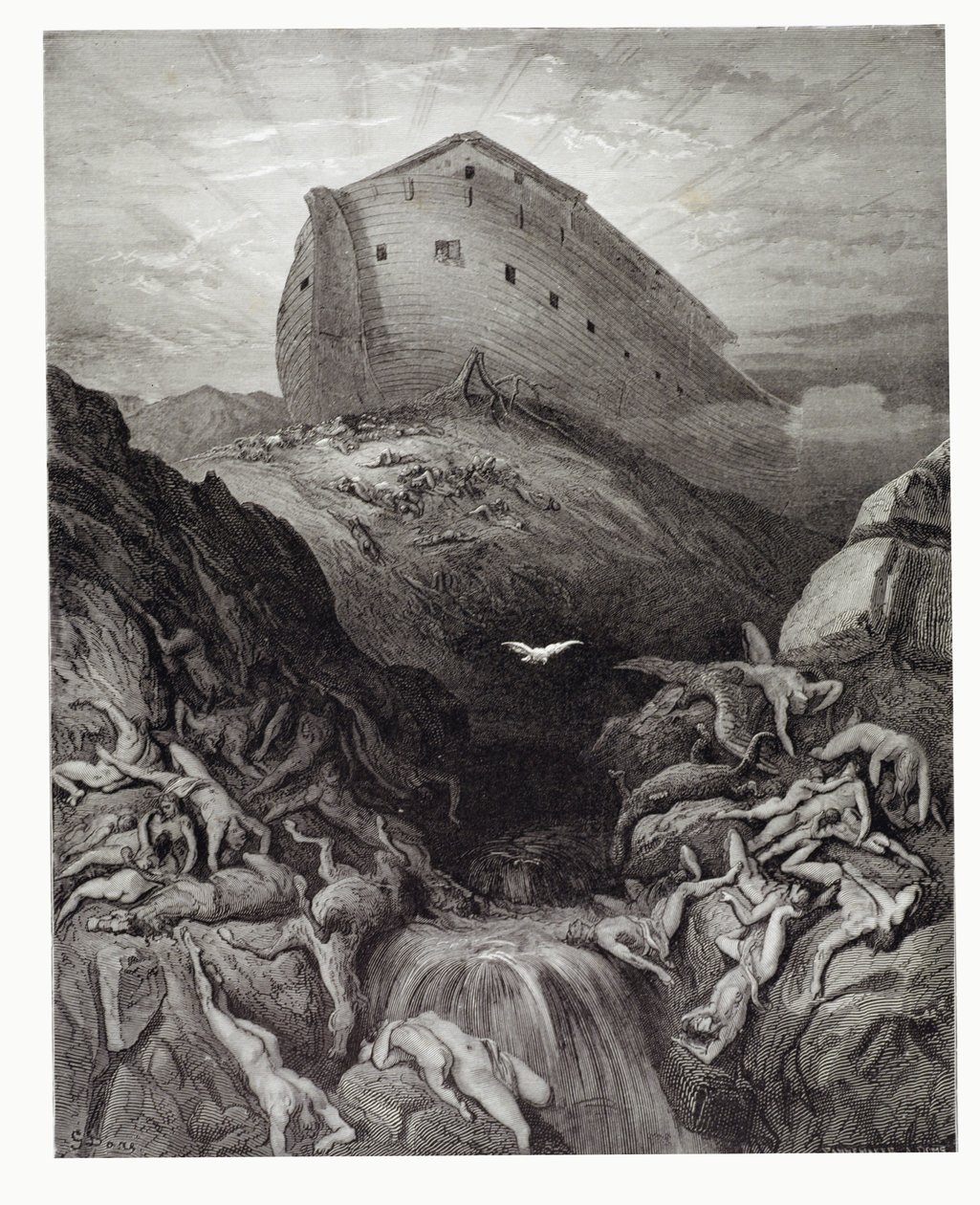 Ark