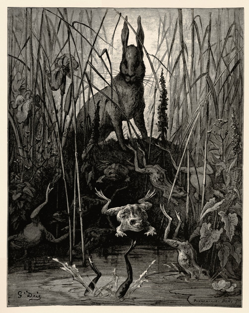 Tavşan ve Kurbağalar by Gustave Dore