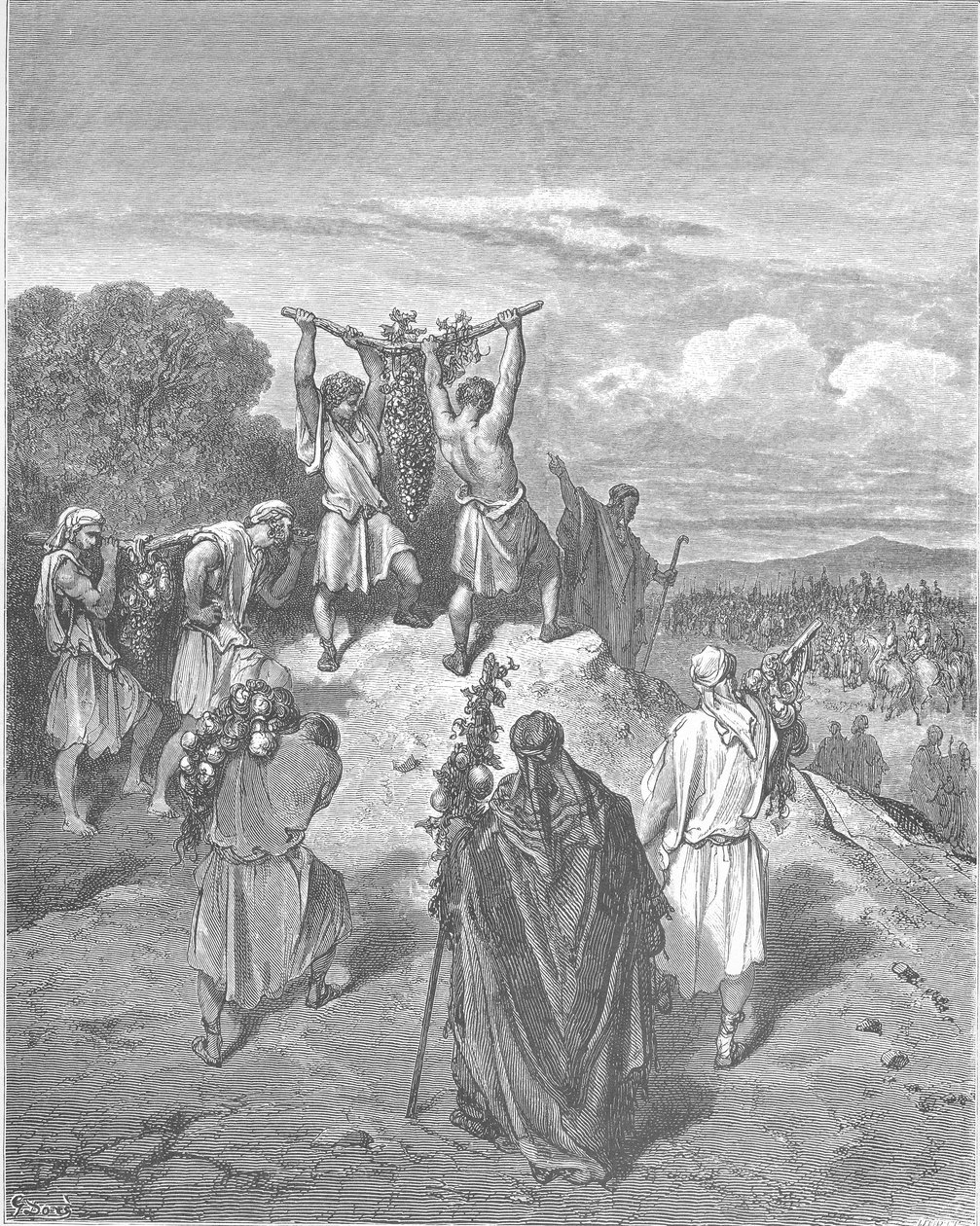Casuslar Vaat Edilen Topraklardan Dönüyor by Gustave Dore
