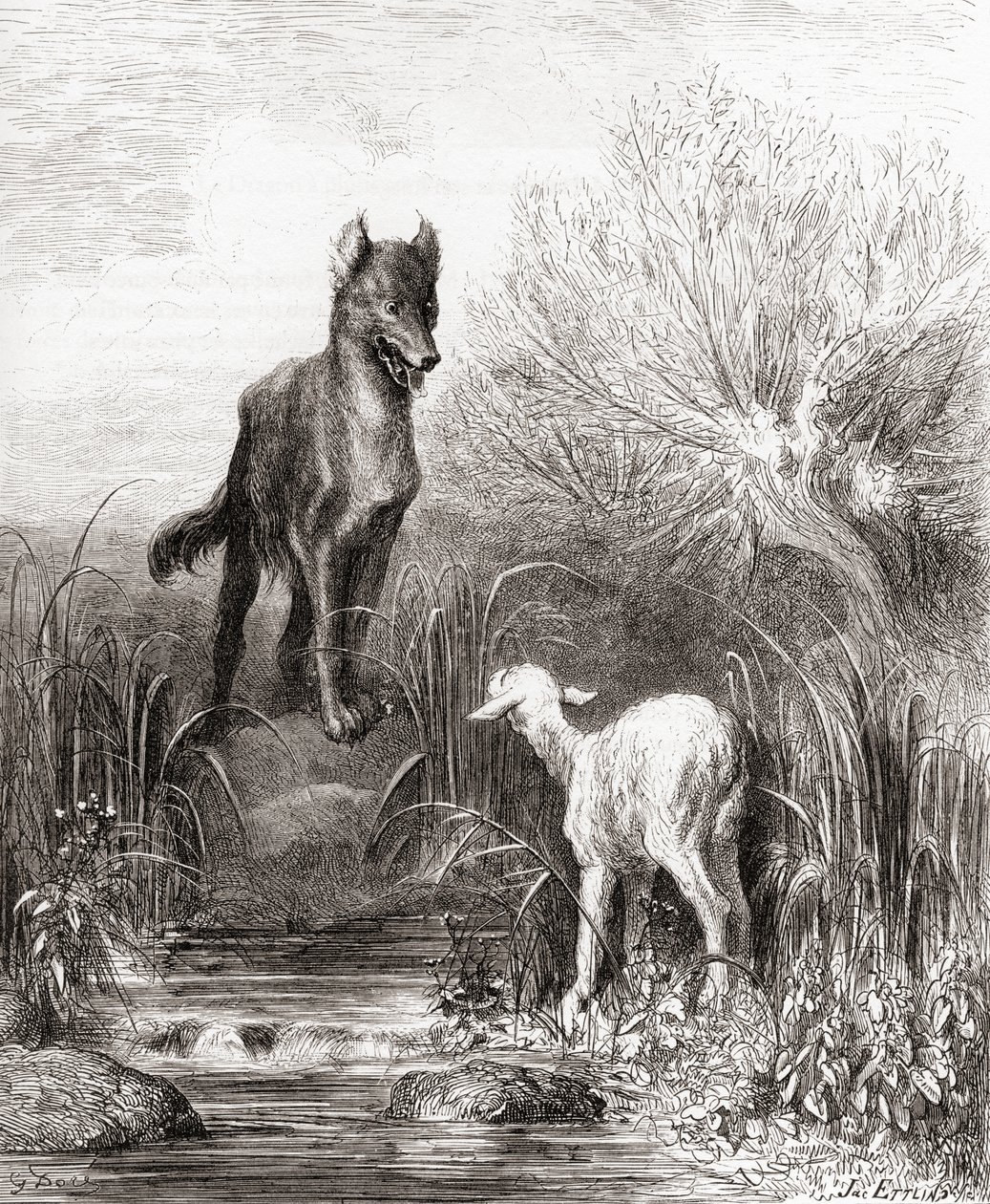 Kurt ve Kuzu, 19. yüzyıl sonlarında Fables de La Fontaine baskısından (ahşap gravür) by Gustave Dore