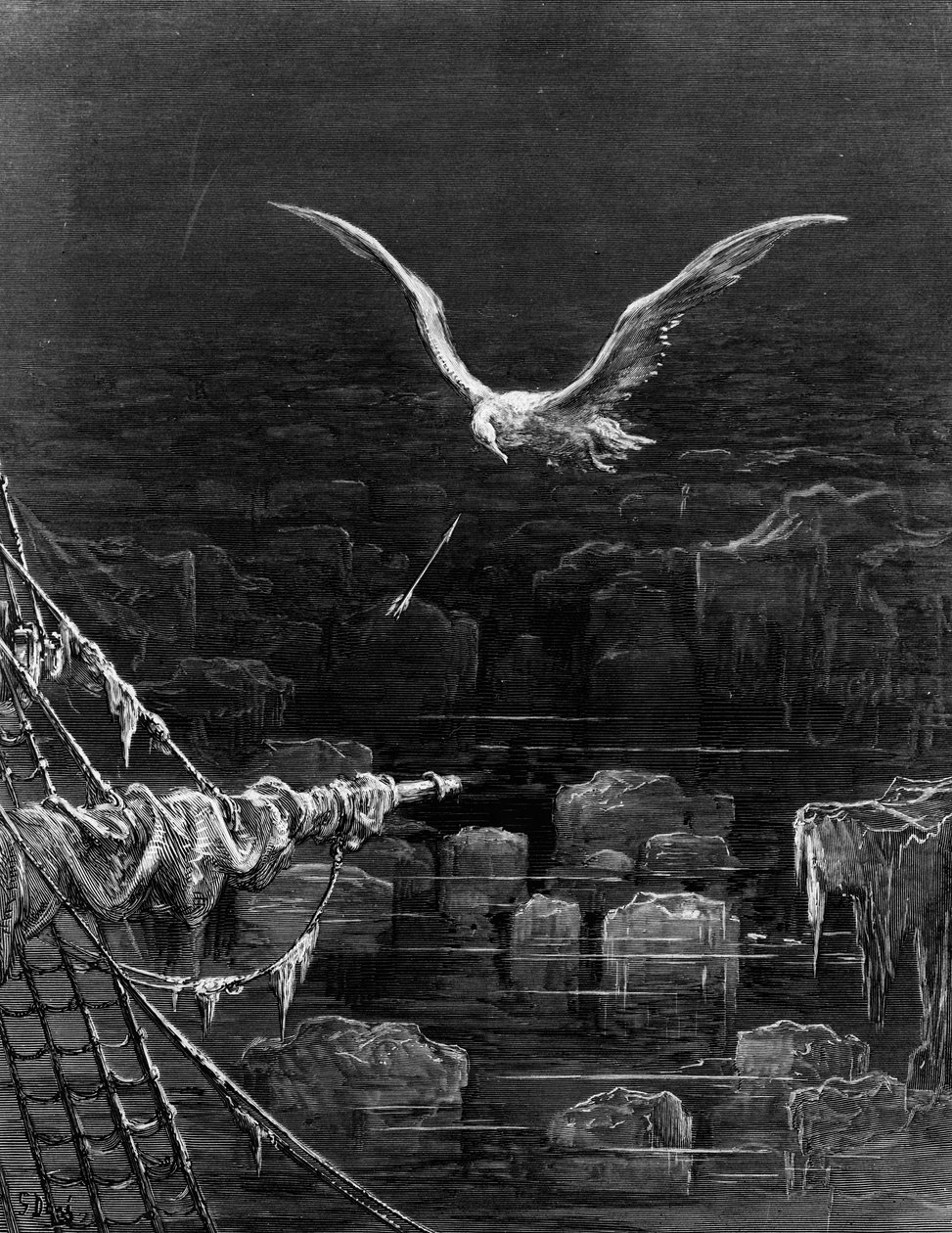 Albatros, S.T. Coleridge, S.T. Coleridge, Harper und Brothers tarafından yayınlandı, New York, 1876 (ahşap gravür) by Gustave Dore