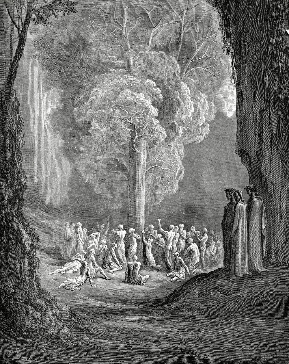 Virgil ağacı Dante