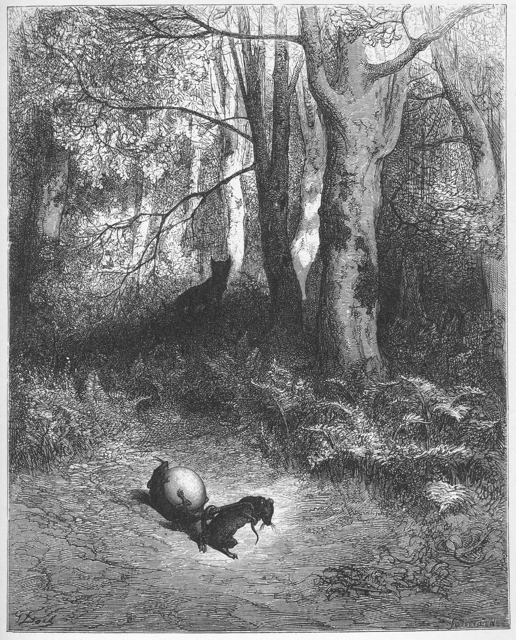 Les deux rats, le fox et l