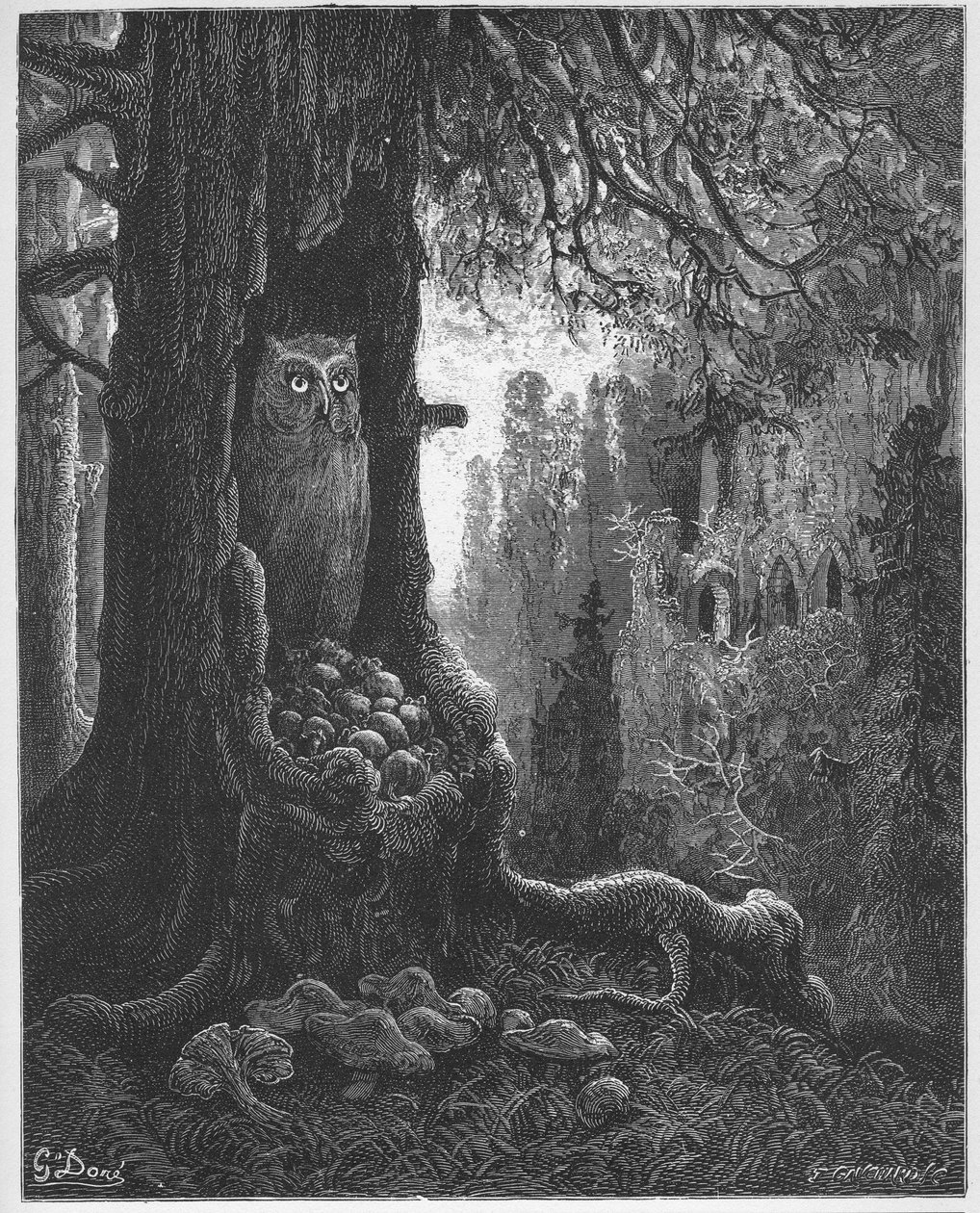 les souris et le chat-huant - Fareler ve Baykuş - Jean de La Fontaine