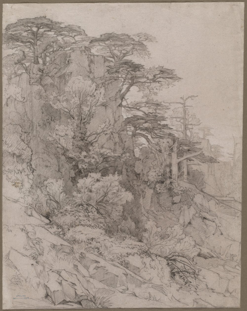 Rocky Hillside'ın Ağaçları by Gustave Achille Guillaumet