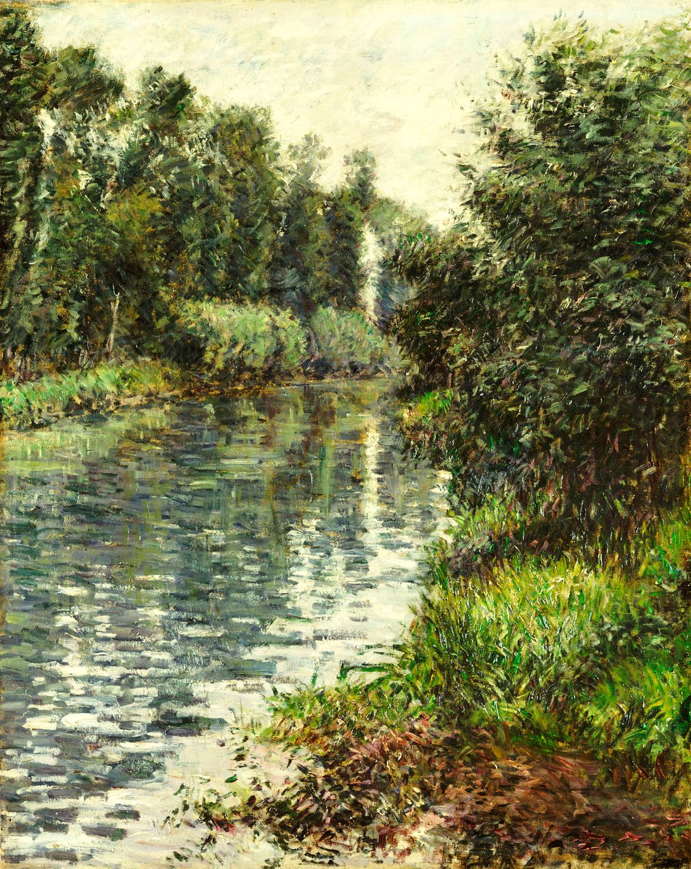 Seine Nehri