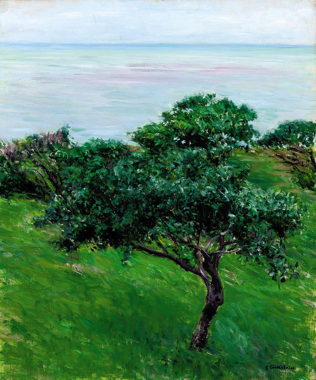 Deniz Kenarındaki Elma Ağaçları, Trouville, 1880 by Gustave Caillebotte