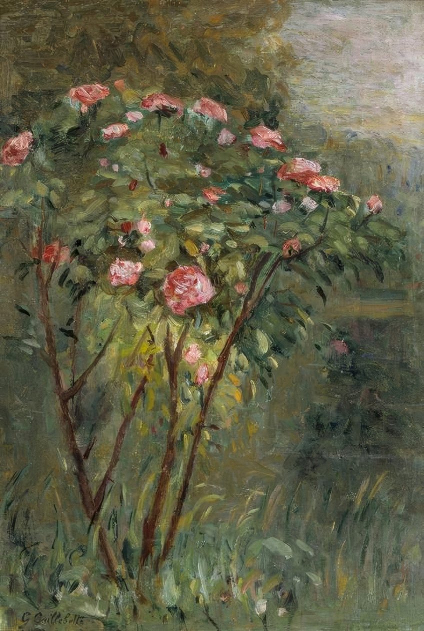 gül çalısı by Gustave Caillebotte