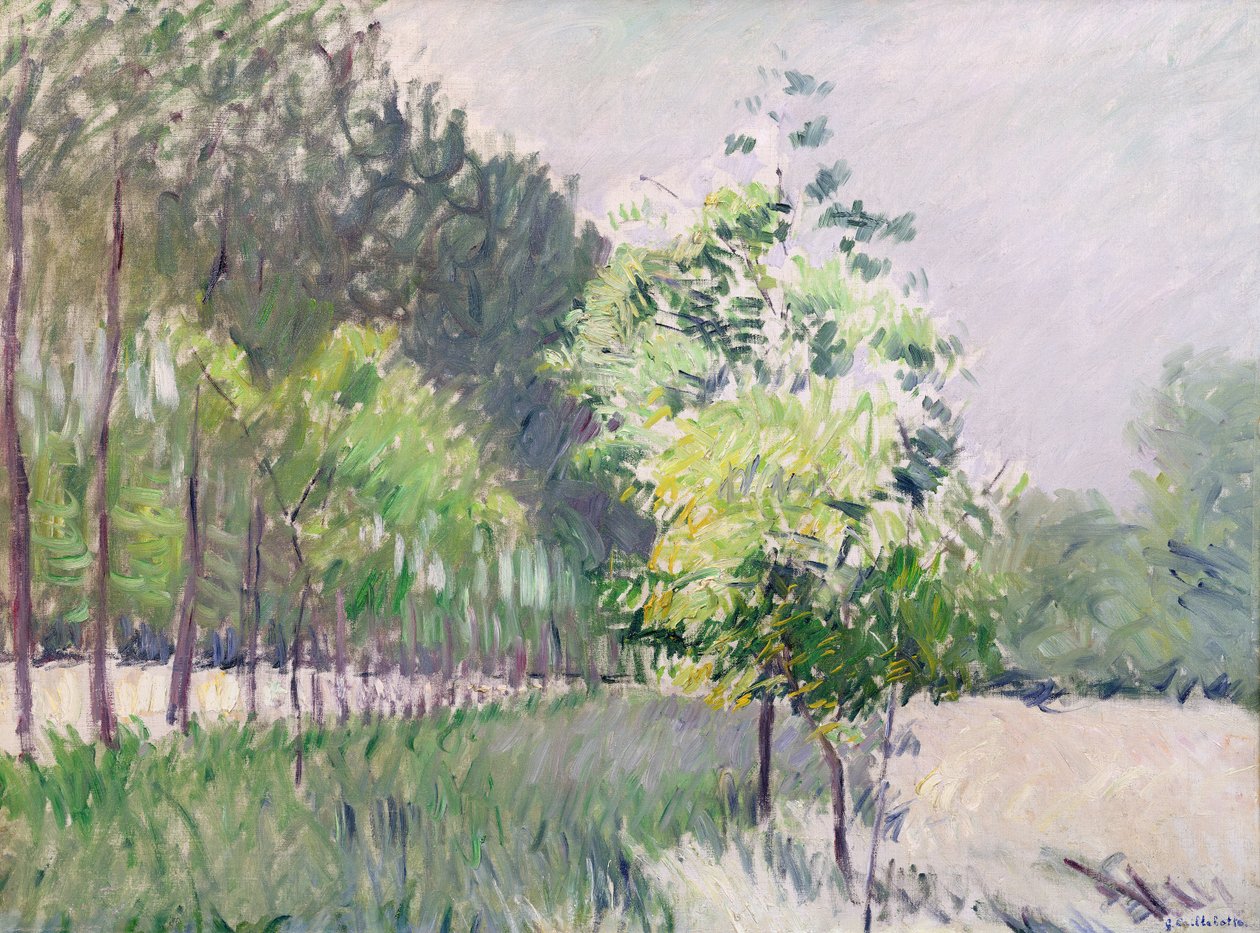 Meyve bahçesi ve ağaçların caddesi by Gustave Caillebotte