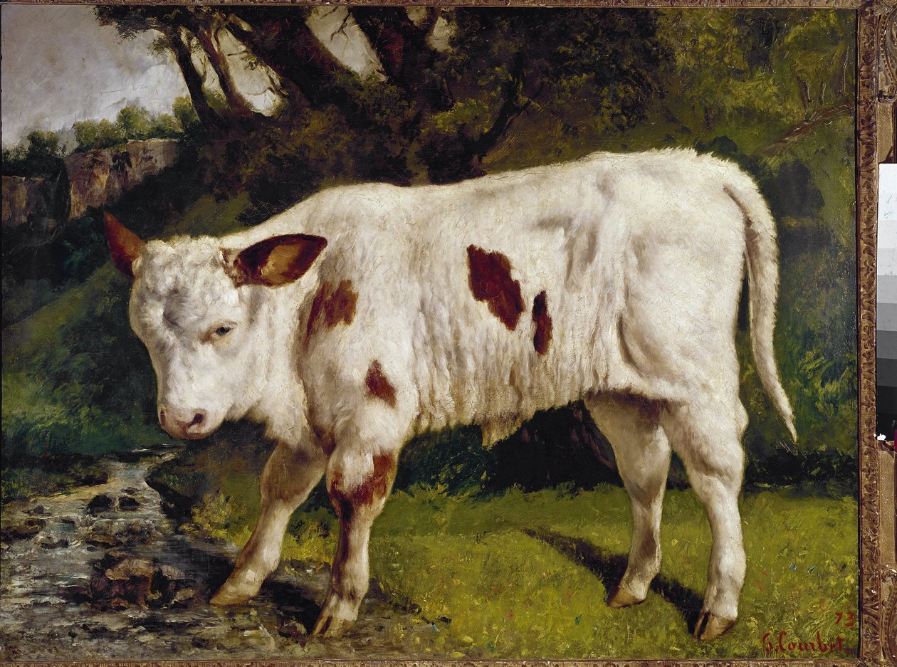 Buzağı by Gustave Courbet