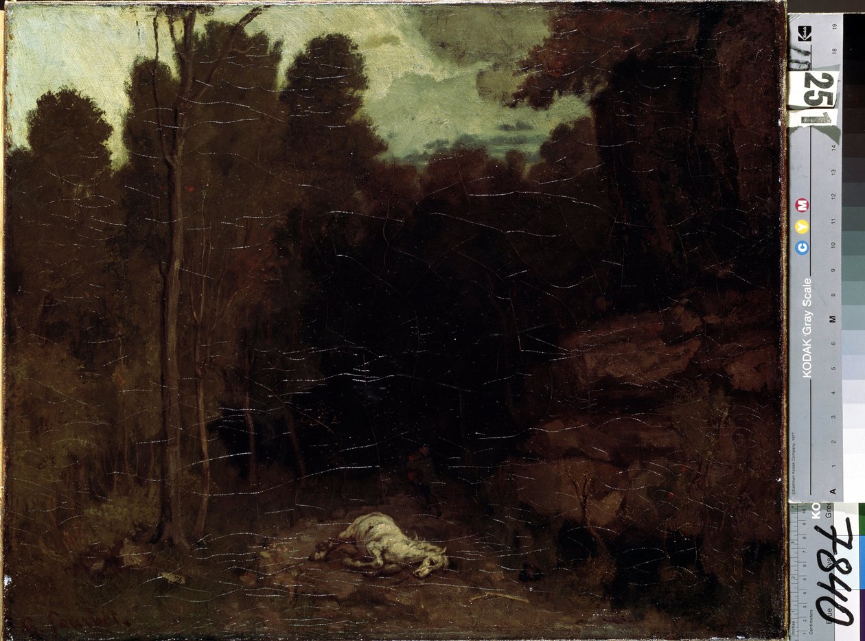 Bilinmeyen resim by Gustave Courbet