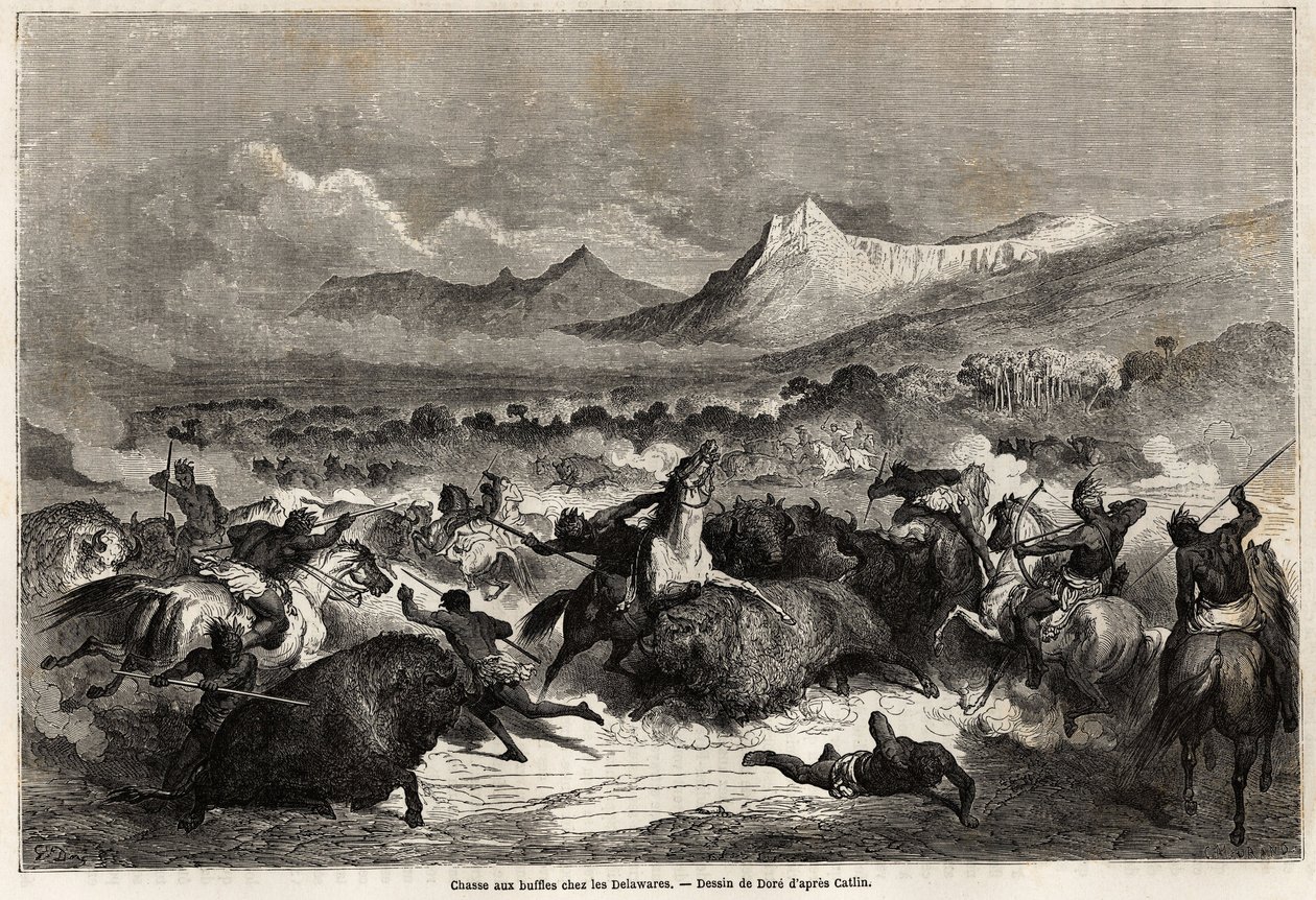 Gustave dore (1832-1883) tarafından çizilen, aynı adı taşıyan nehir kıyısında yaşayan Delaware'ler arasında bufalo avı, Mississippi'nin 1853-54'te Baudouin Mollhausen (1825- 1905). gravür by Gustave Dore