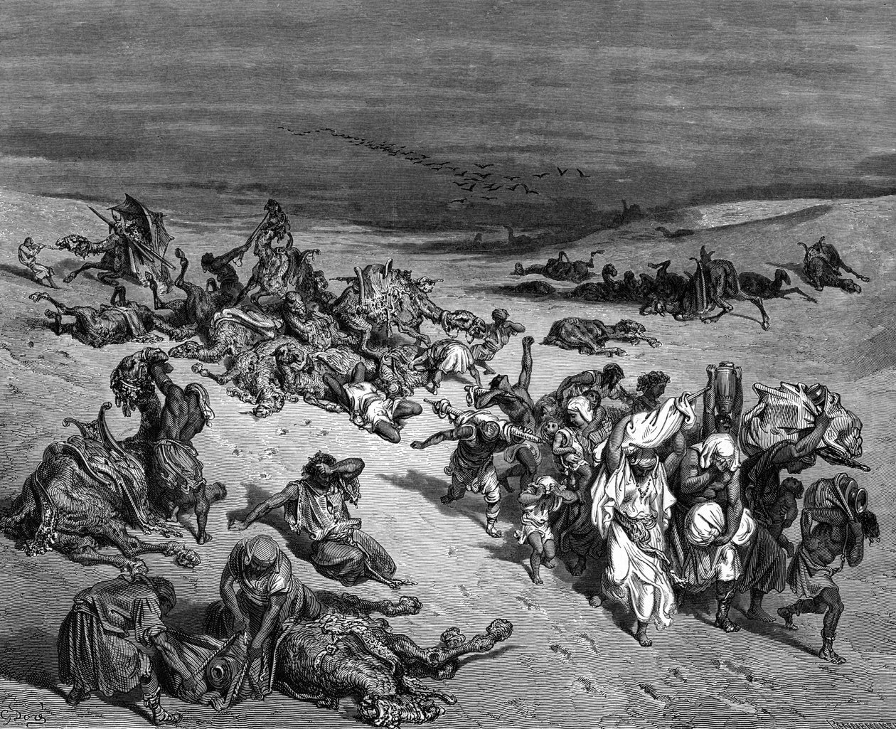 Mısır'ın Yedi Vebasından biri olan 'Veba': Çıkış. Gustave Dore'un çizimi (1832-1883) Fransız ressam ve İncil için kitap illüstratörü (Londra 1866). Ahşap oyma. by Gustave Dore