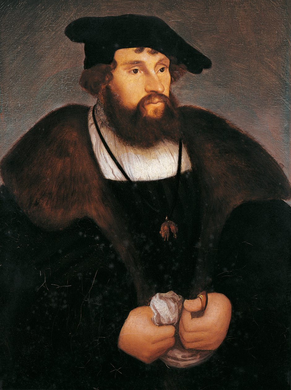 Danimarka Kralı II. Christian, Danimarka Kralı, Norveç ve İsveç