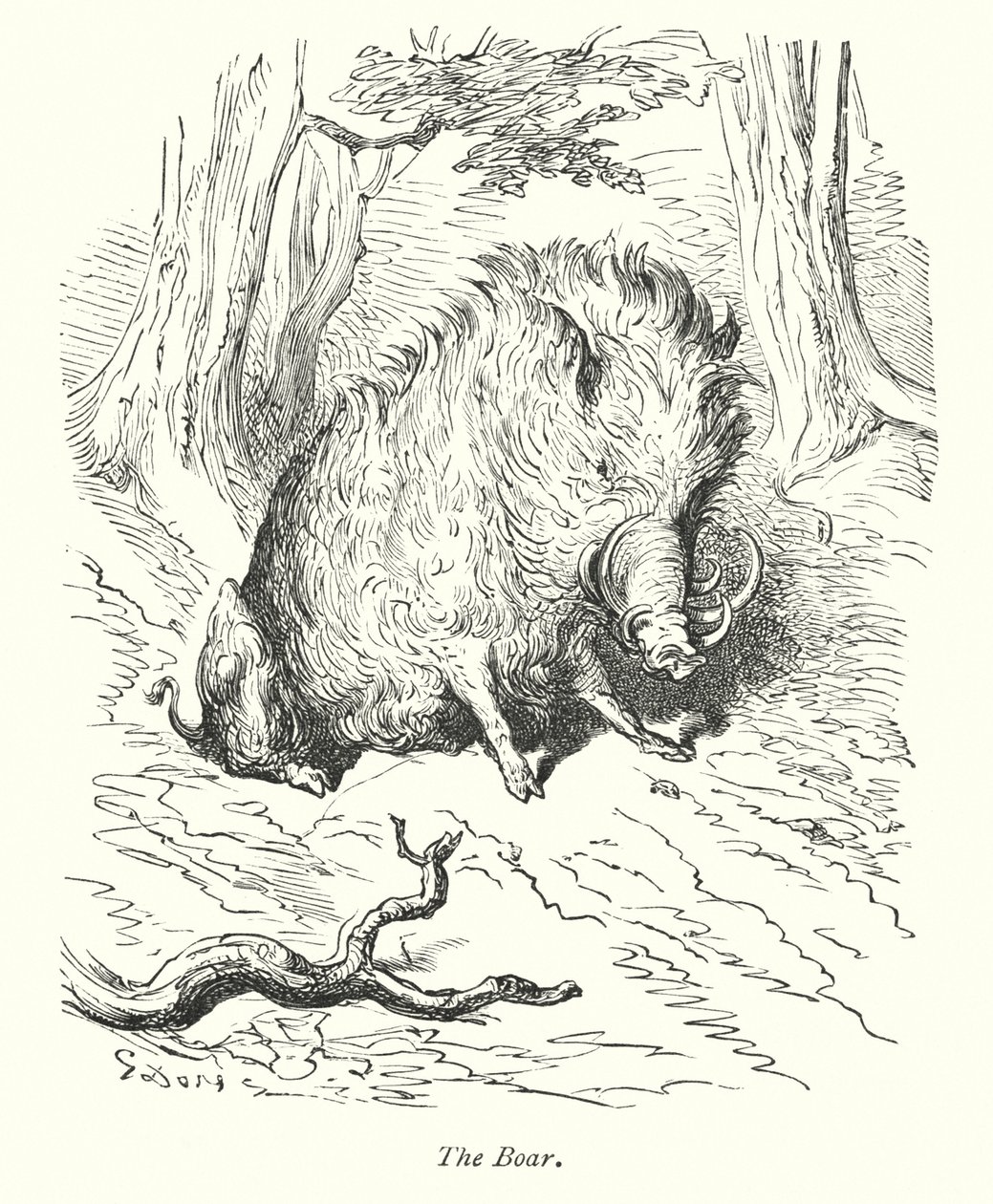 Yaban Domuzu (gravür) by Gustave Dore