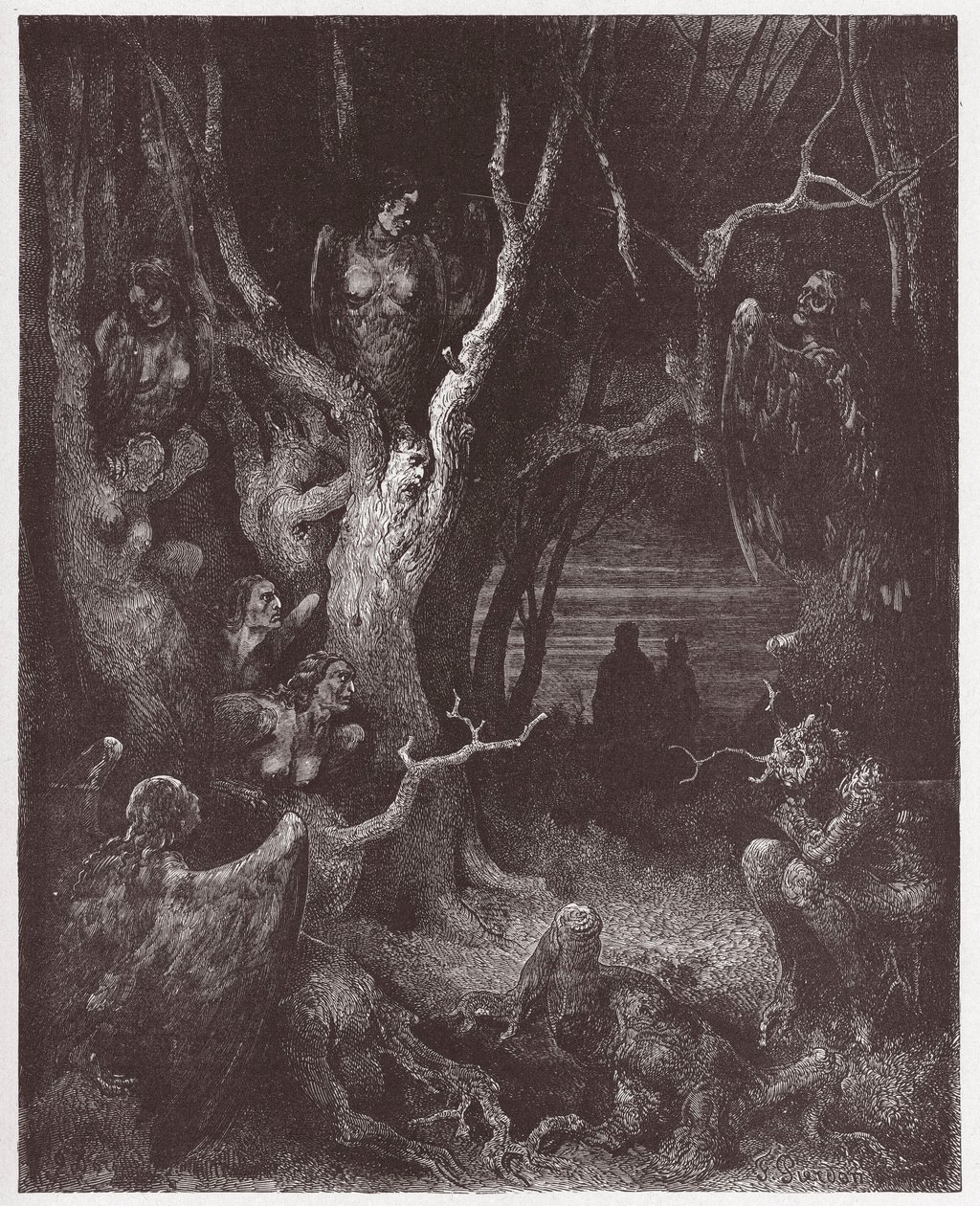 İlahi Komedya (La Divina Commedia, La Divine Comedie), Cehennem, Canto 13: İntihar ormanındaki Harpiler - Dante Alighieri (1265-1321) - Çizim Gustave Dore (1832-1883) by Gustave Dore
