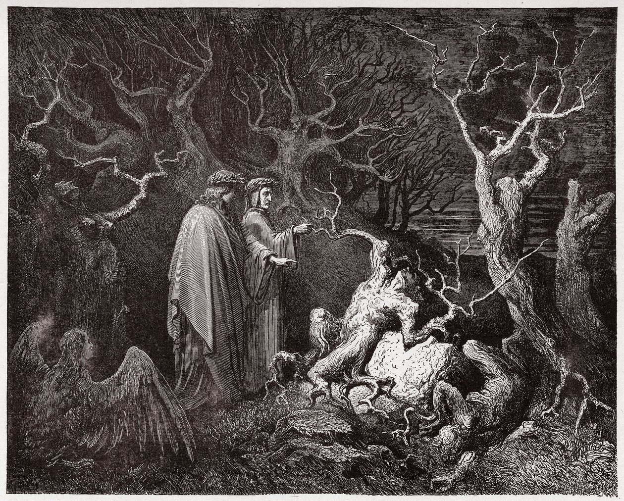 İlahi Komedya (La Divina Commedia, La Divine Comedie), Cehennem, Canto 13: Ormandaki İntiharlar - Dante Alighieri (1265-1321) - Çizim Gustave Dore (1832-1883) by Gustave Dore