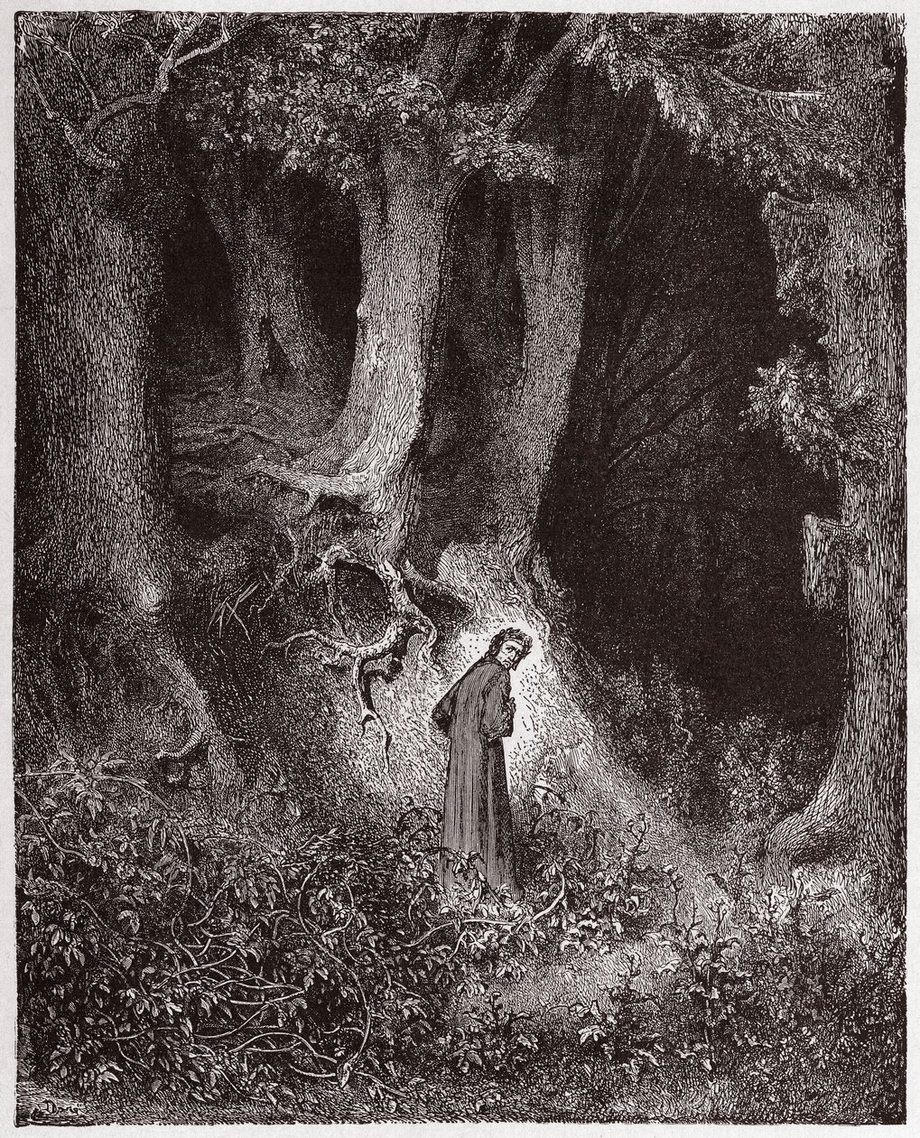 İlahi Komedya (La Divina Commedia, La Divine Comedie), Cehennem, Canto 1: Vahşi Ormanda Dante - Dante Alighieri (1265-1321) - Çizim Gustave Dore (1832-1883) by Gustave Dore