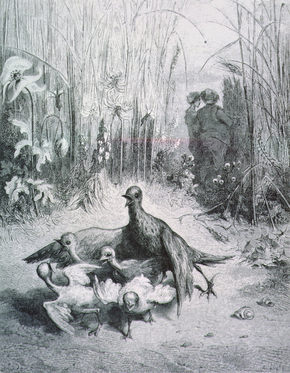 Lark Masalı, gençleri ve alanın ustası, La Fontaine Masalları için örnekleme rnrn by Gustave Dore