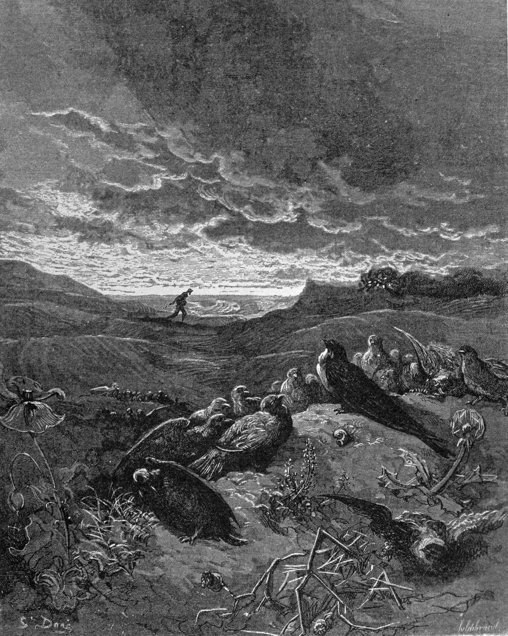 Kırlangıç ve Kuşlar, La Fontaine'in "Masallar"dan bir çizim, 1868 by Gustave Dore
