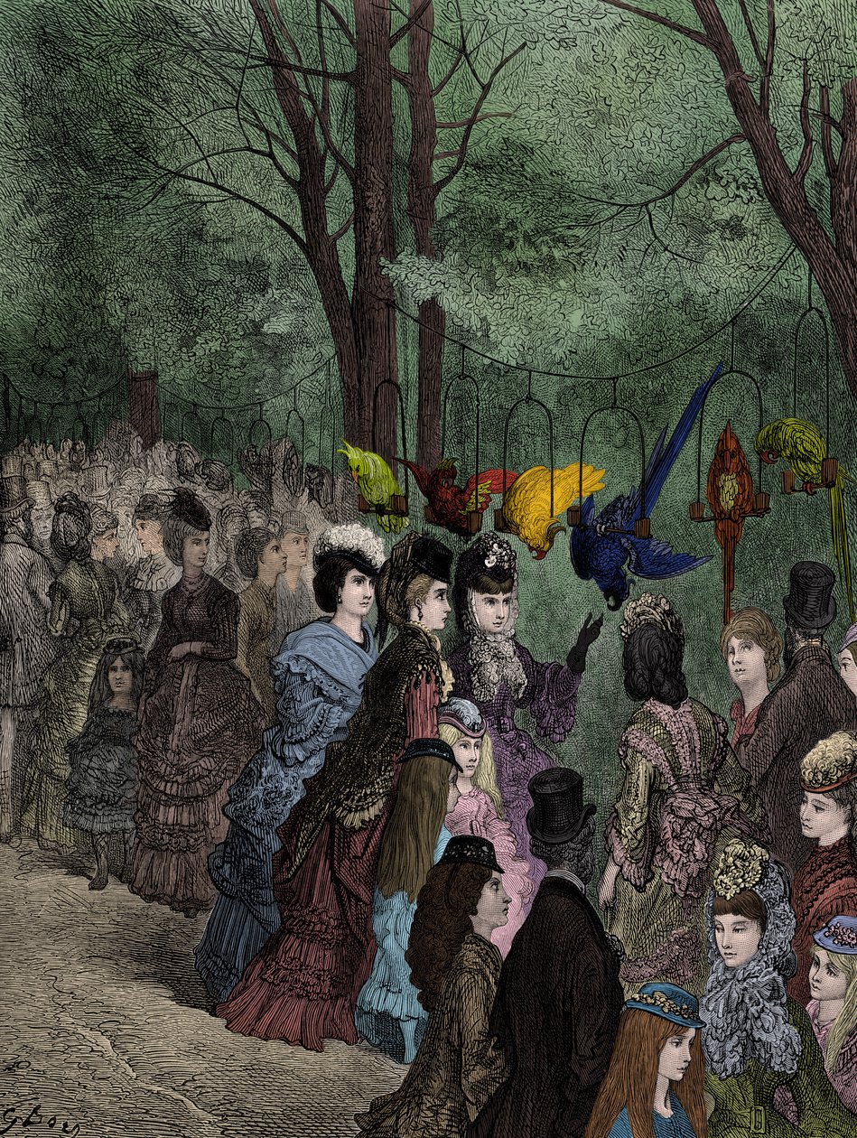 Doré tarafından Victoria Londra hayvanat bahçesinde papağan yürüyüşü by Gustave Dore