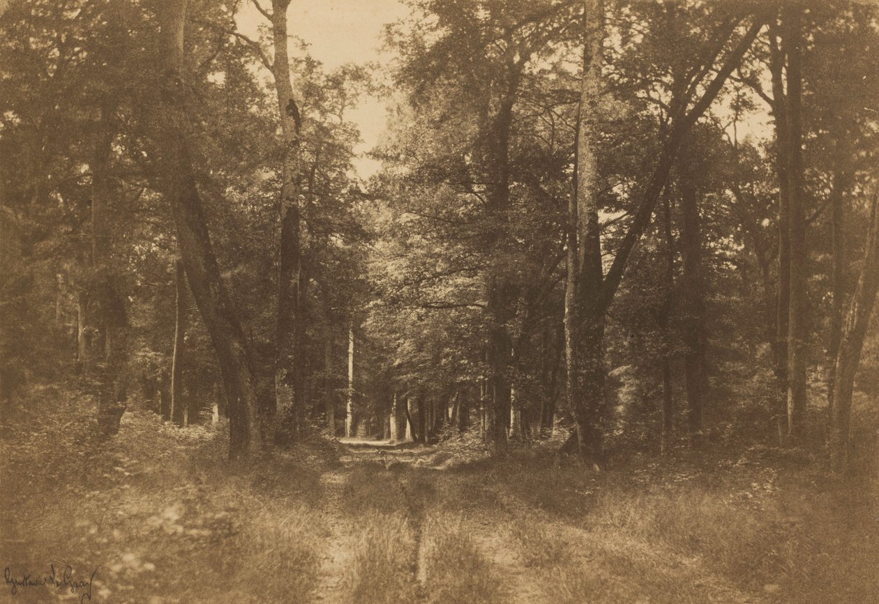  by Gustave Le Gray