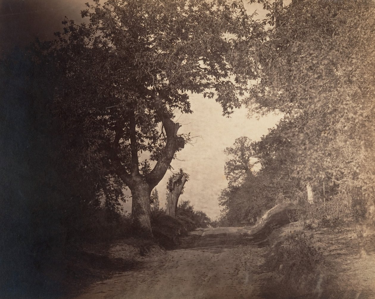 Fontainebleau, kumlu yol yokuş yukarı, yak. 1856. by Gustave Le Gray