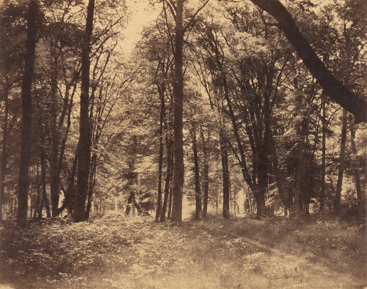  by Gustave Le Gray