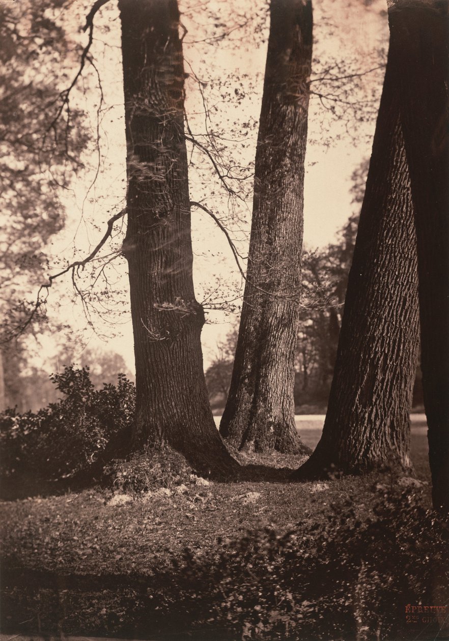 by Gustave Le Gray