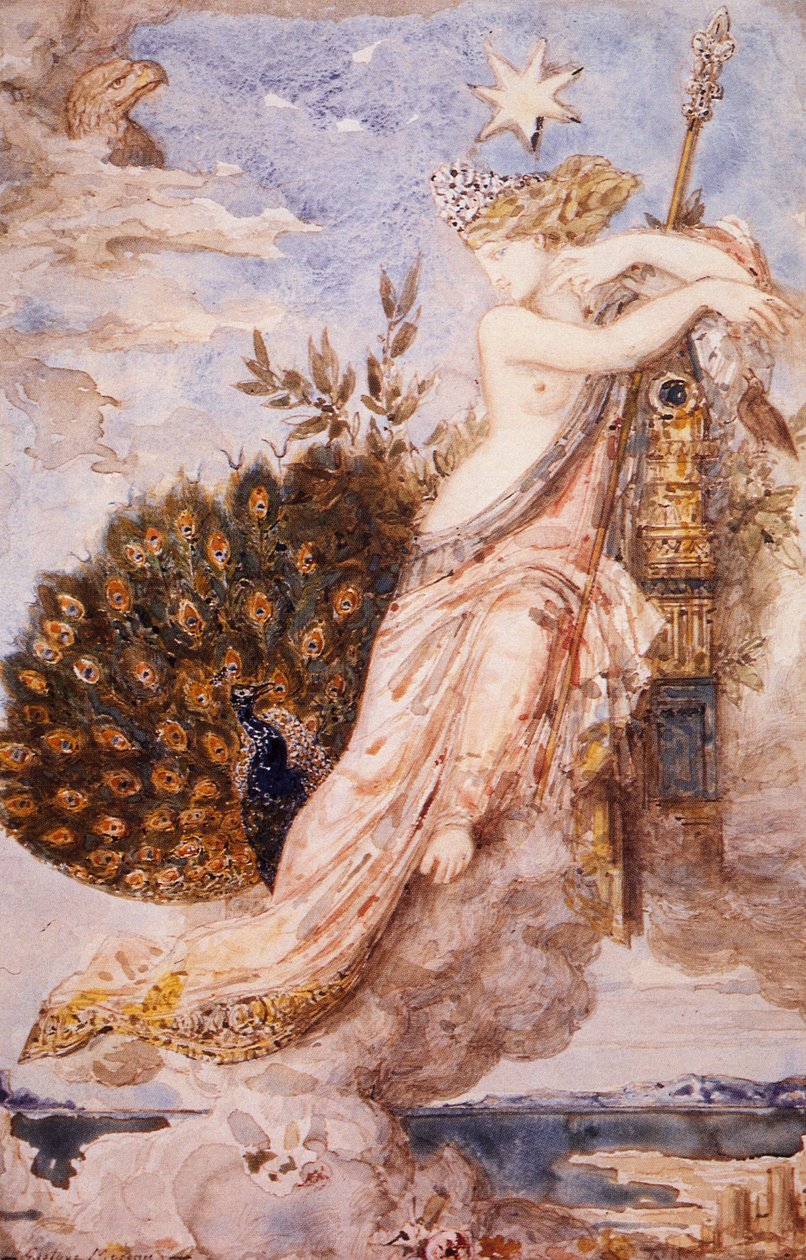 Tavus kuşu Juno