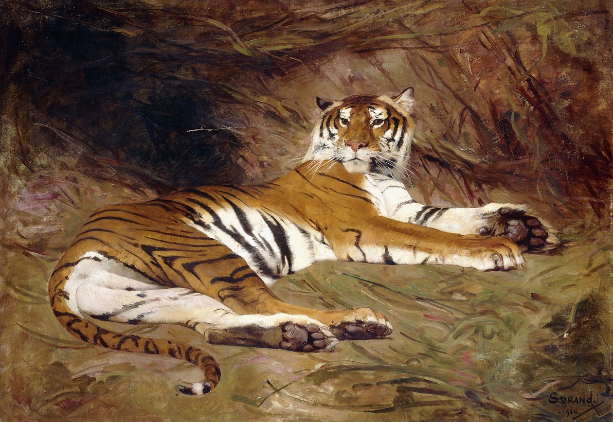 uzanmış kaplan by Gustave Surand