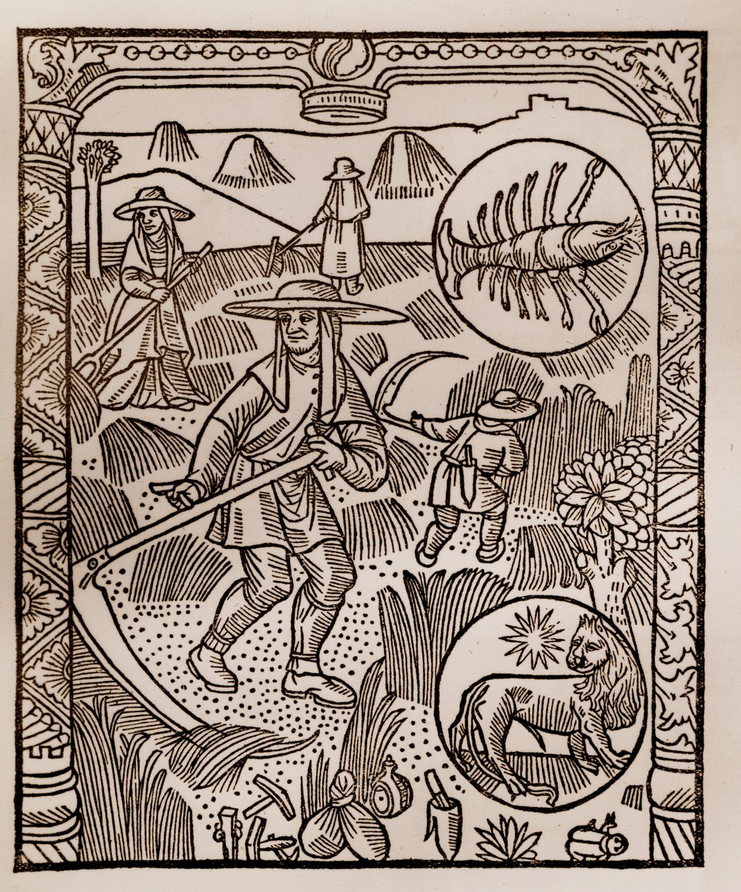 Çoban takvimi - Ayların Emekleri - Temmuz - Guy Marchant (Guido Mercator) tarafından Troyes