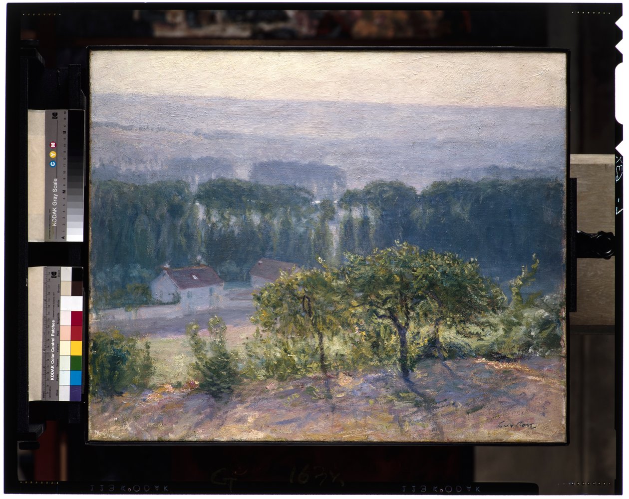 Geç Öğleden Sonra, Giverny, c.1905-13 (tuval üzerine yağlı boya) by Guy Rose