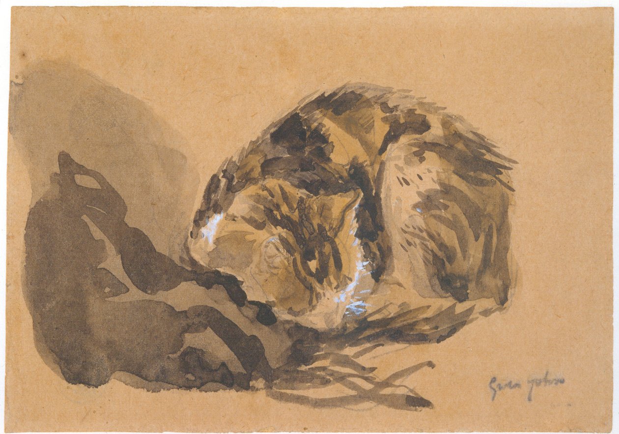 Bir Kedinin Çalışması, 1905-08 by Gwen John