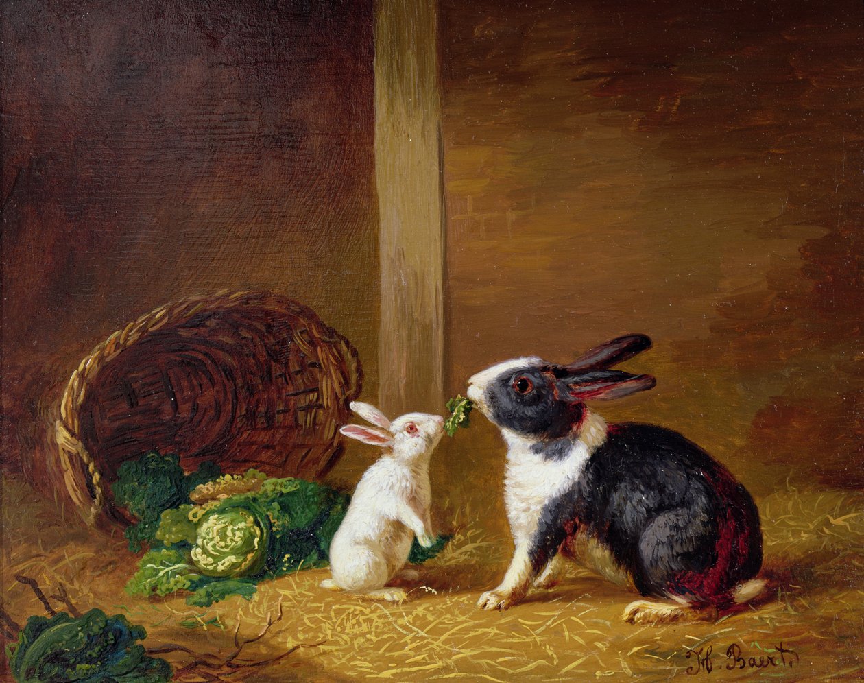 iki tavşan by H. Baert