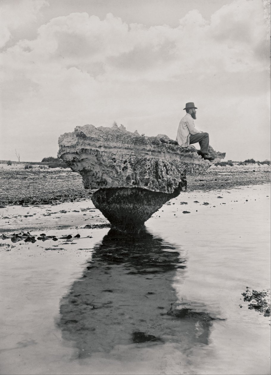 korse kaya by H. H. Tilbrook